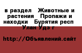  в раздел : Животные и растения » Пропажи и находки . Бурятия респ.,Улан-Удэ г.